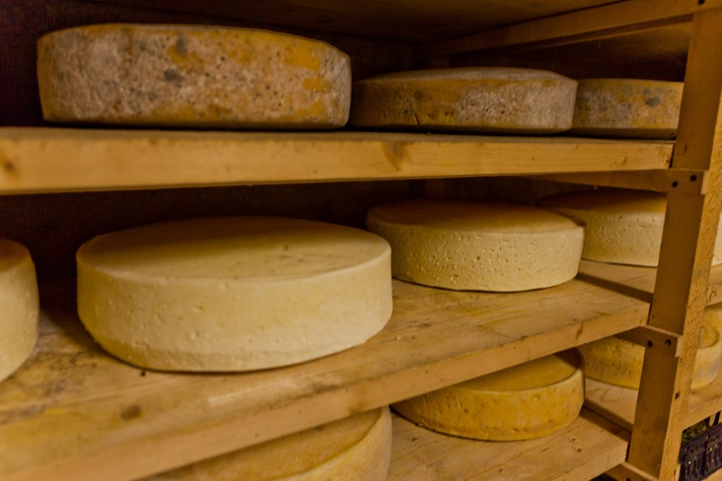 Cheeses – San Zeno di Montagna